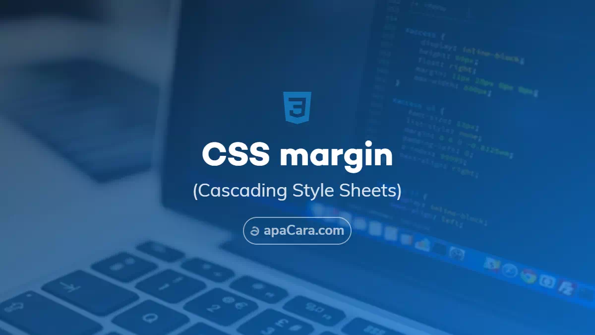 CSS Margin
