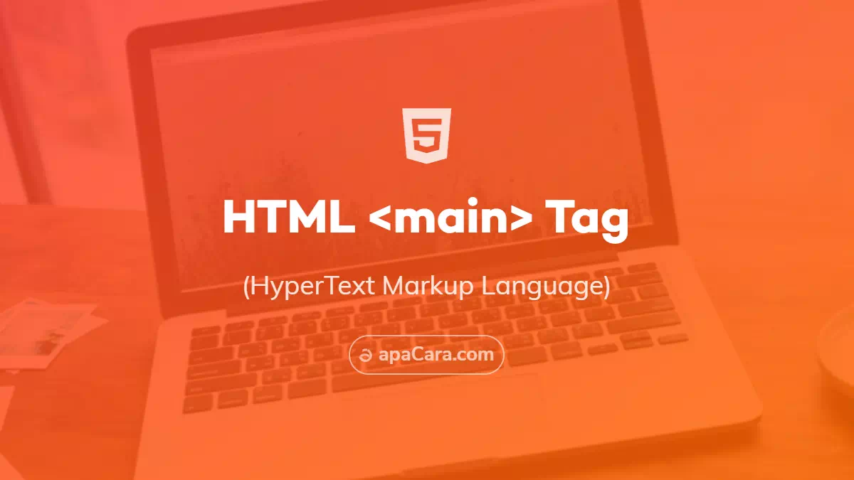 HTML main tag  belajar <main> element