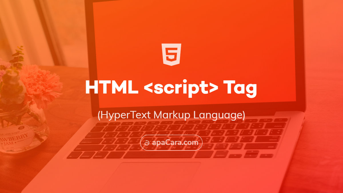 Script tag. Script tag html. CSS script tag.