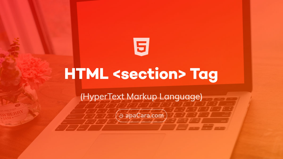 Section element. Селект html. Section html что это. <Small> tag html. Select tag.